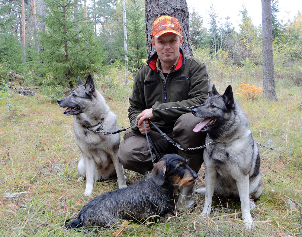 Björn Eek tillträdde sin tjänst på SKK som sakkunnig i jaktfrågor den 28 oktober. Foto: Stephan Ackerstierna