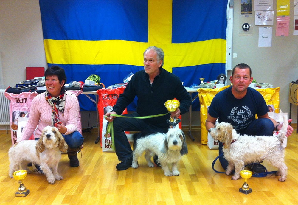I mitten segrande basset, Smebäckens Valdemar. Till vänster tvåan, Mörka Skogs Rut Zackrisson och till höger trean, Rainstone Habile. Foto: Cecilia von Braun