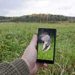 Foto: Martin Källberg