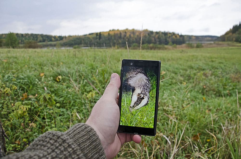 Foto: Martin Källberg