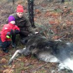 Första älgkalven med 4-åriga Clara som sällskap. Foto: Privat