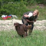 Ungdoms-SM för spaniel och retrieverförare genomförs för fjärde året i rad. Bilden är från förra året. Foto: Rickard Polsk