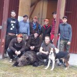 Den 149 kilo tunga hanbjörnen sköts i Gåxsjö för finnstövaren Eilert. Foto: Privat