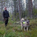 Älgjakten närmar sig och det är dags att se över utrustningen. Martin Ottossonh från Åsele jagar både älg och björn. Foto: Lars-Henrik Andersson