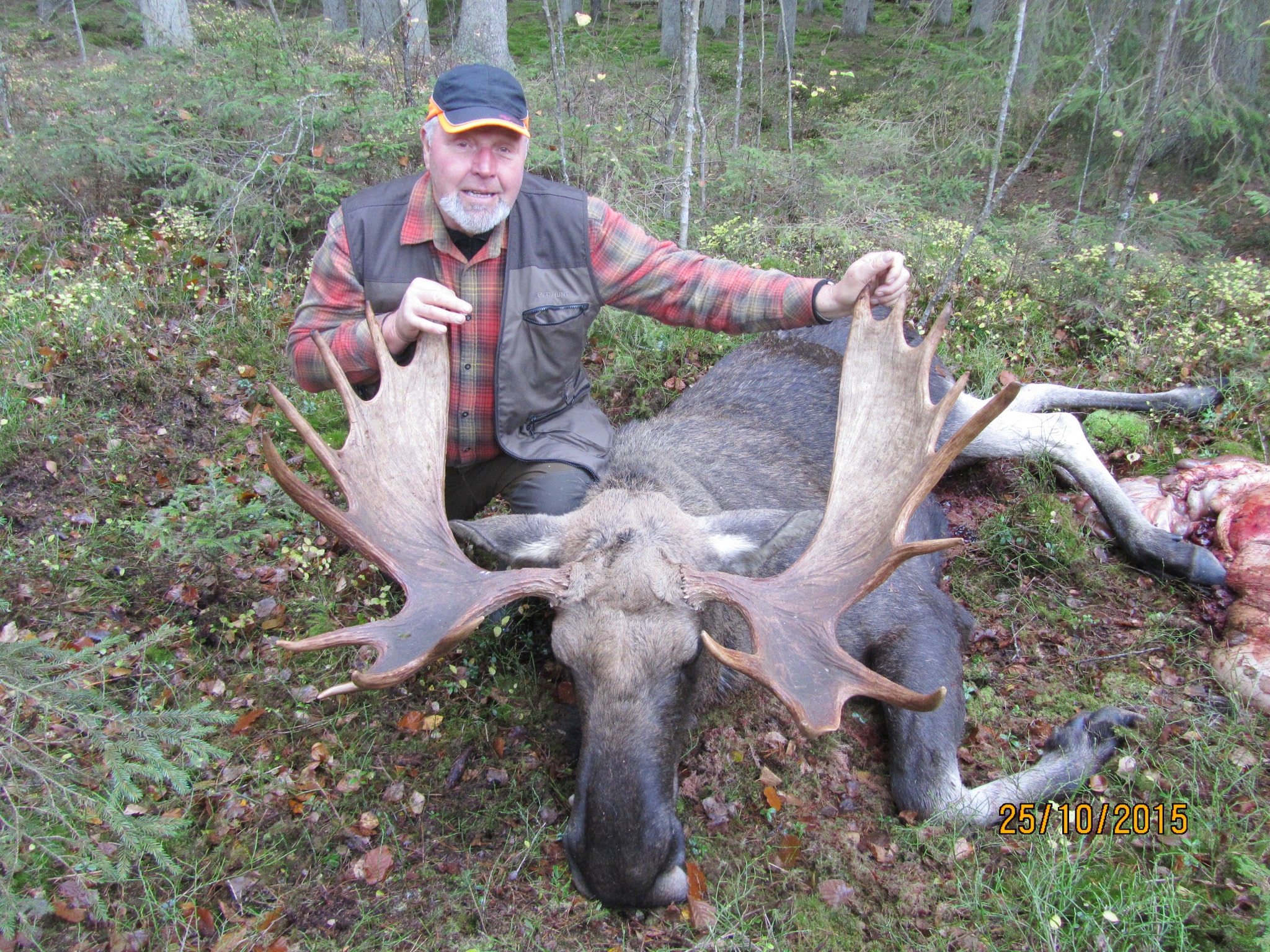 Kenth Cronqvist har i många år rest till norra Sverige med hopp om att få skjuta en fin älgtjur. Men det var på hemmamarken i Blekinge som drömmen blev sann. Foto: Privat