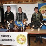 I mitten segraren SE UCH Duga med ägare Henry Lennartsson, Hallen, och till vänster tvåan SE JCH Västralunds Rex, ägare Pål Lönnergård, Unnaryd, samt trean till höger SE JCH Wallelyckan Buster, ägare Robin Lorentzon, Falköping. Foto: Lars Davidsson