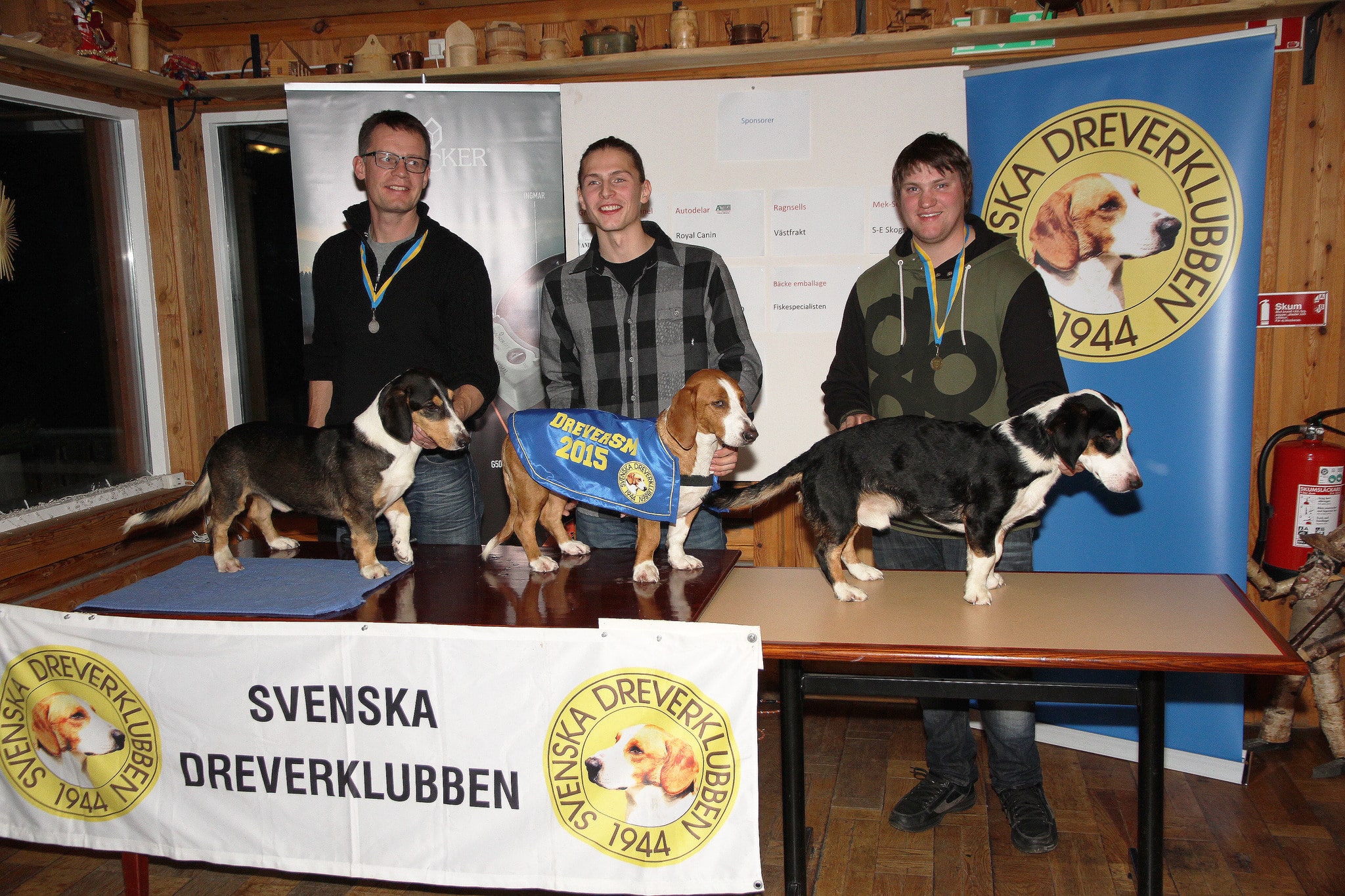I mitten segraren SE UCH Duga med ägare Henry Lennartsson, Hallen, och till vänster tvåan SE JCH Västralunds Rex, ägare Pål Lönnergård, Unnaryd, samt trean till höger SE JCH Wallelyckan Buster, ägare Robin Lorentzon, Falköping. Foto: Lars Davidsson