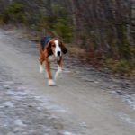 Bossmålas Frisko fixade de tuffa förhållandena och drev full tid båda SM-dagarna. Foto: Allan Bergström