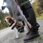 Foto: Lars-Henrik Andersson
