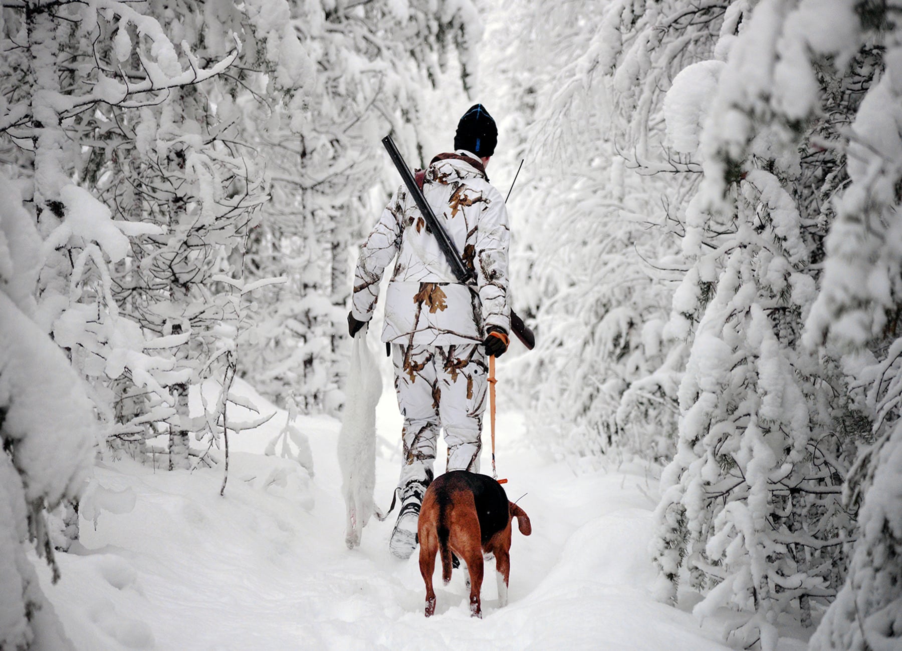 Foto: Joakim Svärd