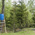 En foderspridare med en åtelkamera. Det är hög tid att kravet på tillstånd för att sätta upp åtelkameror slopas, anser debattören. Foto: Jan Henricson