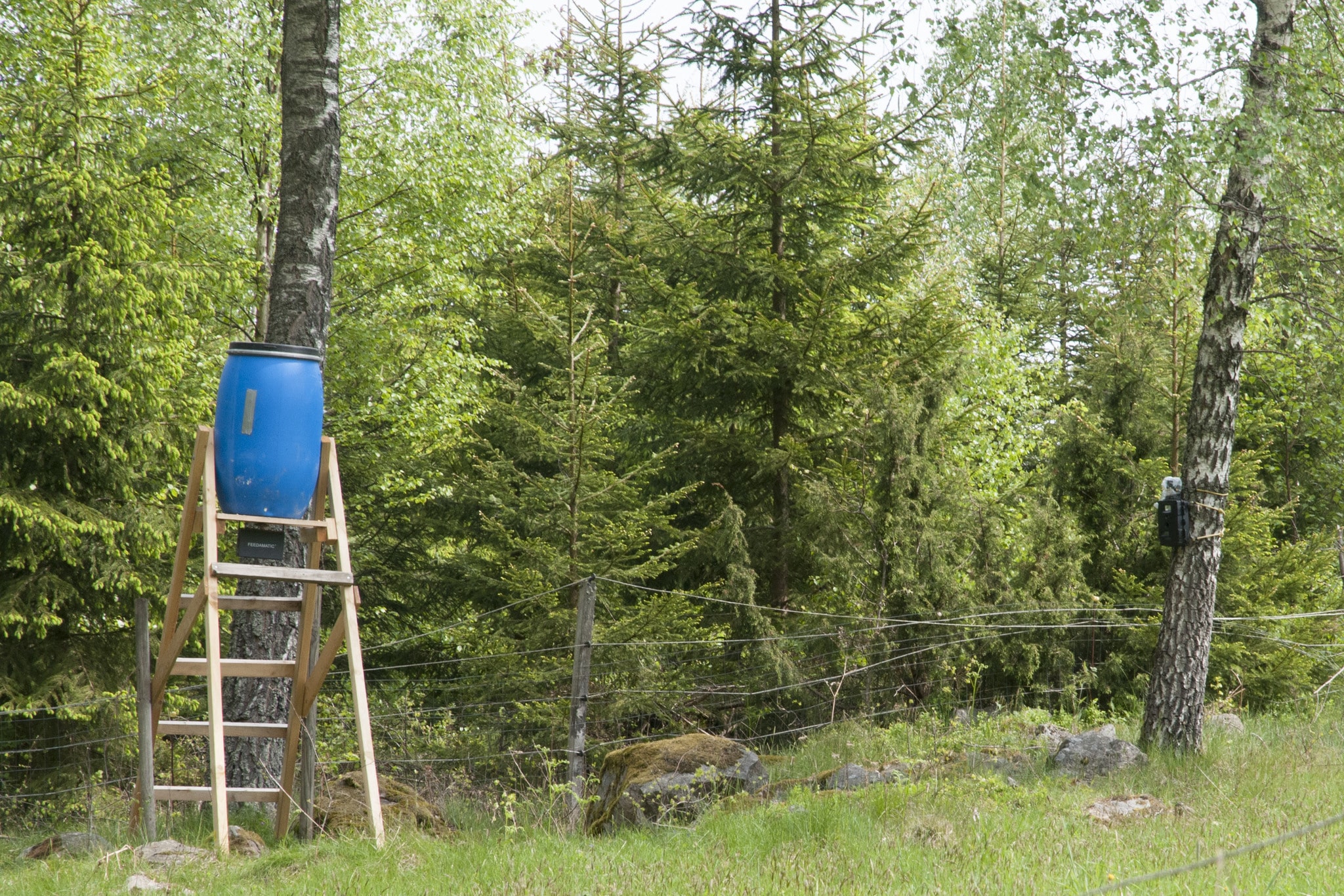 En foderspridare med en åtelkamera. Det är hög tid att kravet på tillstånd för att sätta upp åtelkameror slopas, anser debattören. Foto: Jan Henricson