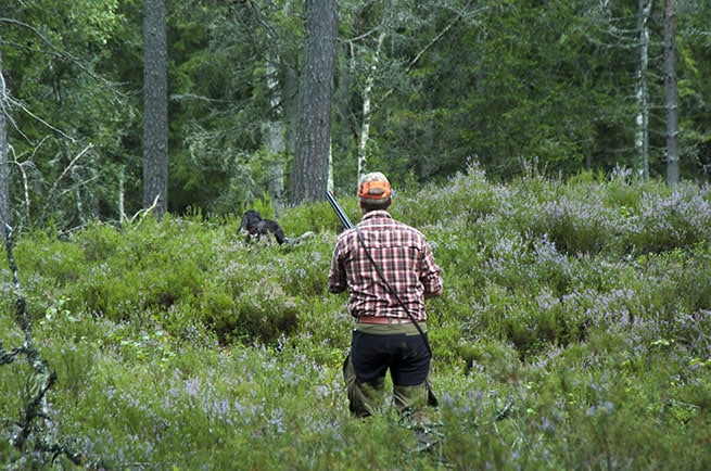 Personen på bilden har ingenting med artikelns innehåll att göra. Foto: Martin Källberg
