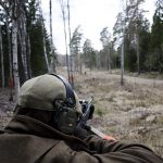 Sugen på en klövviltjakt i Sörmland? I så fall ska du vara med i Svensk Jakts tävling! Foto: Martin Källberg