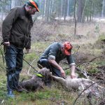 Följ upp den lyckade jaktsäsongen med att rapportera in fällt vilt till Jägareförbundet, för jaktens skull. Foto: Jan Henricson