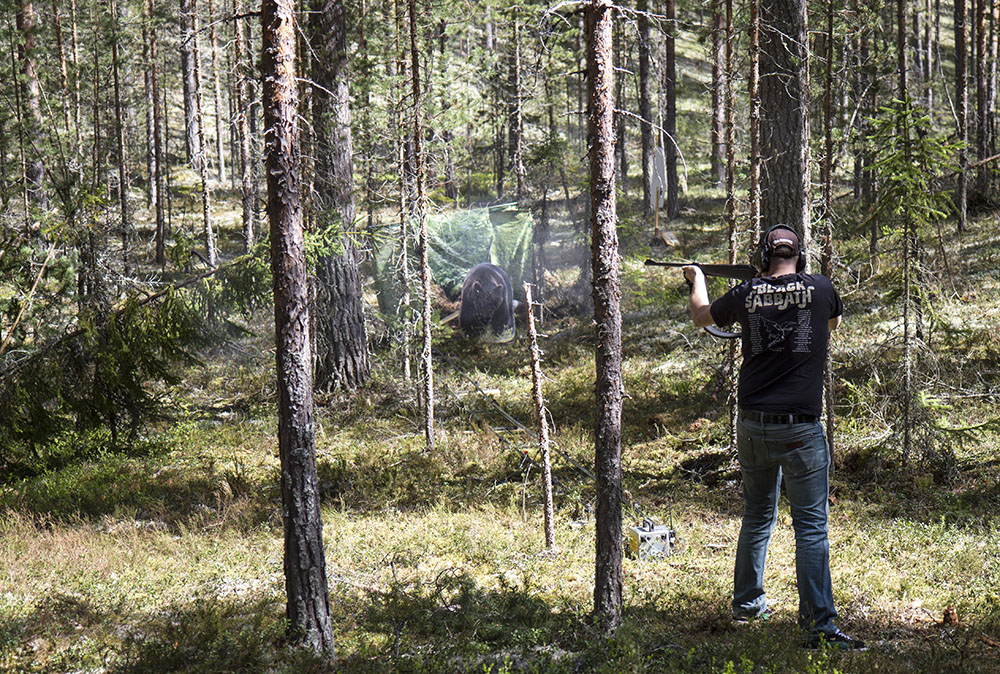 När skottet går mot sidobjörnen kommer en annan björnfigur farande rakt mot skytten, som skjuter två skott. Foto: Olle Olsson