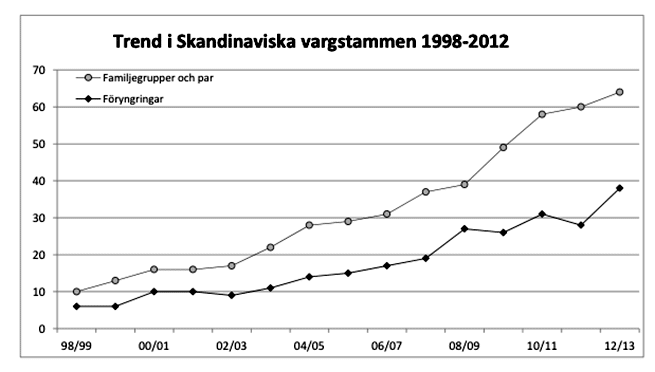 Populationsutveckling i den skandinaviska vargstammen 1998-2013. Antal dokumenterade föryngringar samt summan av antal dokumenterade familjegrupper och par visas för Skandinavien, både år för år samt trenden för den senaste 15-årsperioden (vintertid). Källa: Viltskadecenter