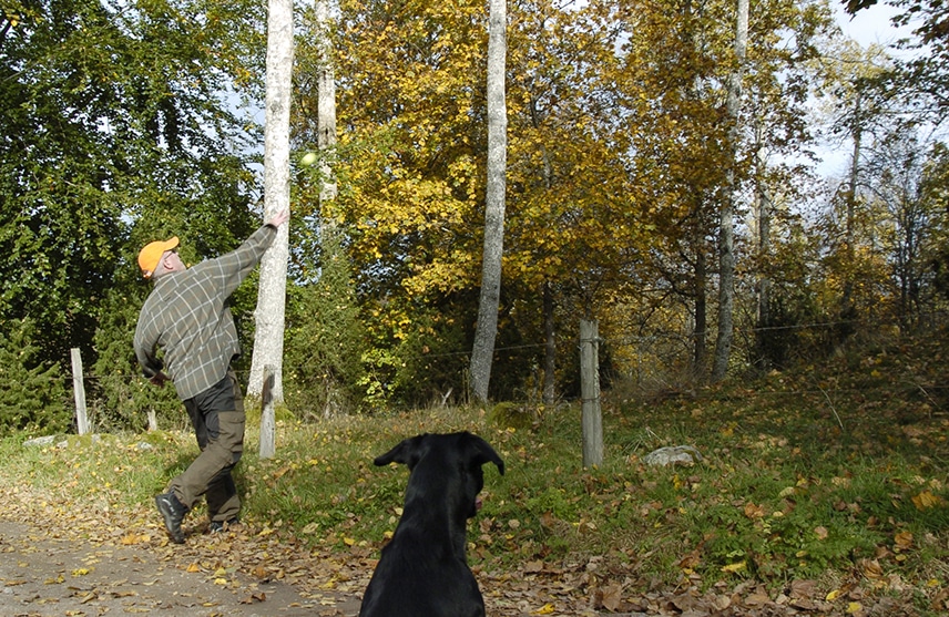 Människans förmåga att kunna kasta är unik och en förutsättning för att våra förfäder skulle kunna jaga större bytesdjur. Men även i dagens jaktträning kan det vara bra att kunna skicka iväg en boll eller en dummy. Foto: Jan Henricson