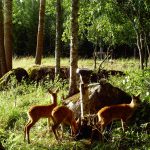 Foto: Privat