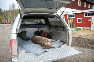 Foto: Olle Olsson