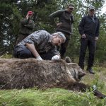 Foto: Olle Olsson