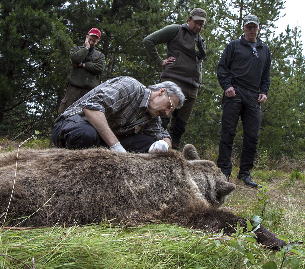Foto: Olle Olsson
