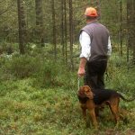 ”Älgjakt kan jag inte ägna mig åt när alla vapen finns hos polisen. Tur att jag har stövaren så att vi kan göra skogspromenader varje dag”, säger 69-åringen som är misstänkt för grovt jaktbrott på varg. Foto: Leif Eriksson